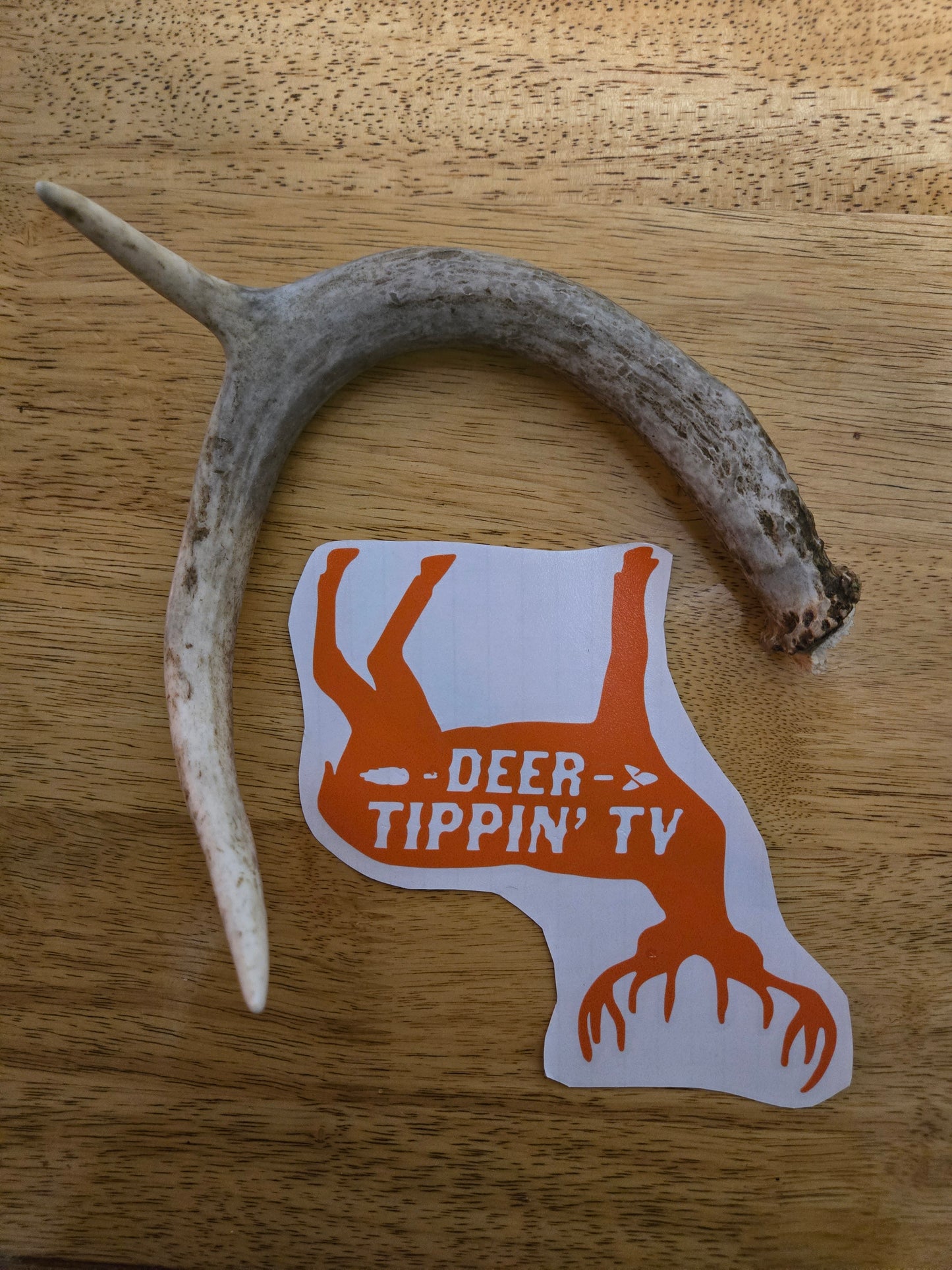 Orange "Deer Tippin' TV" Decal