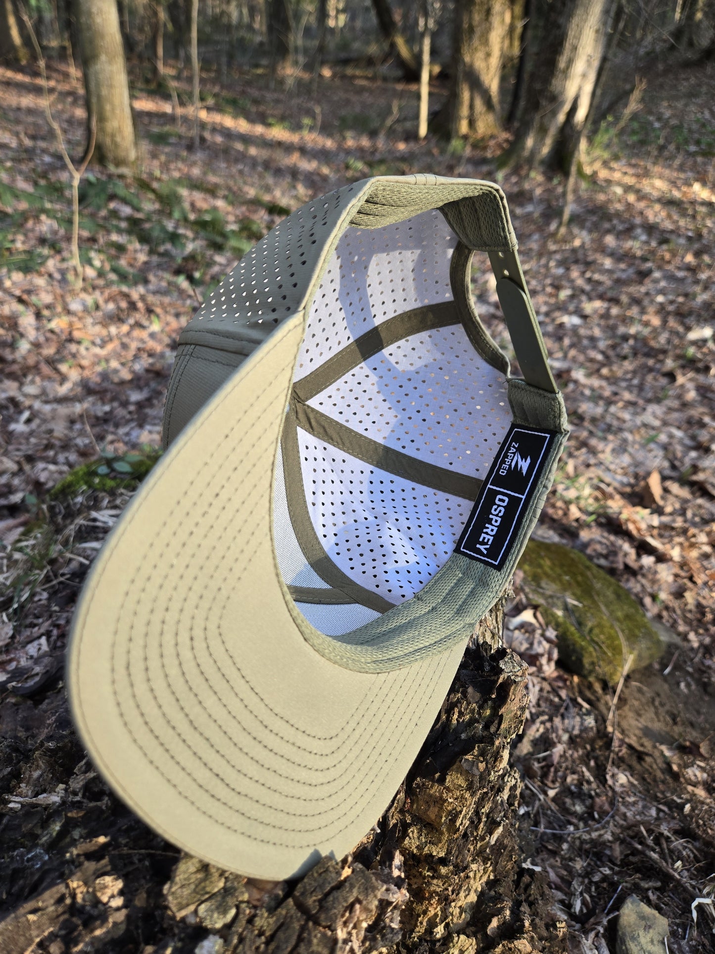 "Bird Dog" Loden Osprey