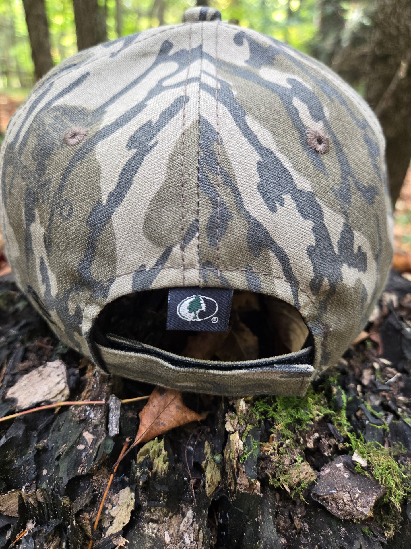 The "Stealth Hunter"